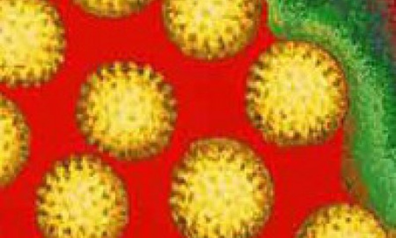 Мифы о ротавирусе