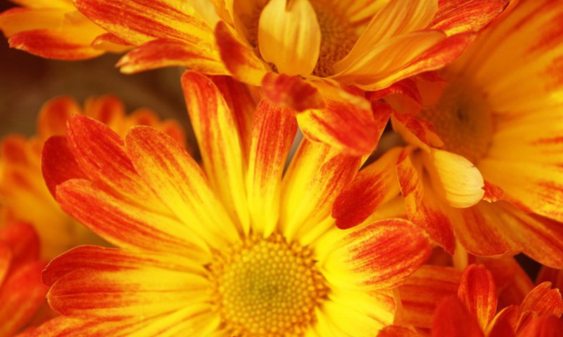 Мама-репортёр: Новый сезон открыт, подводим первые осенние итоги 