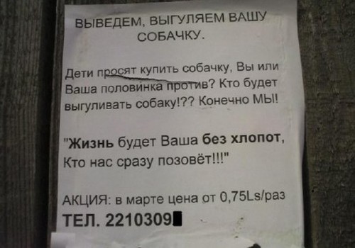 Выведем, выгуляем вашу собачку!