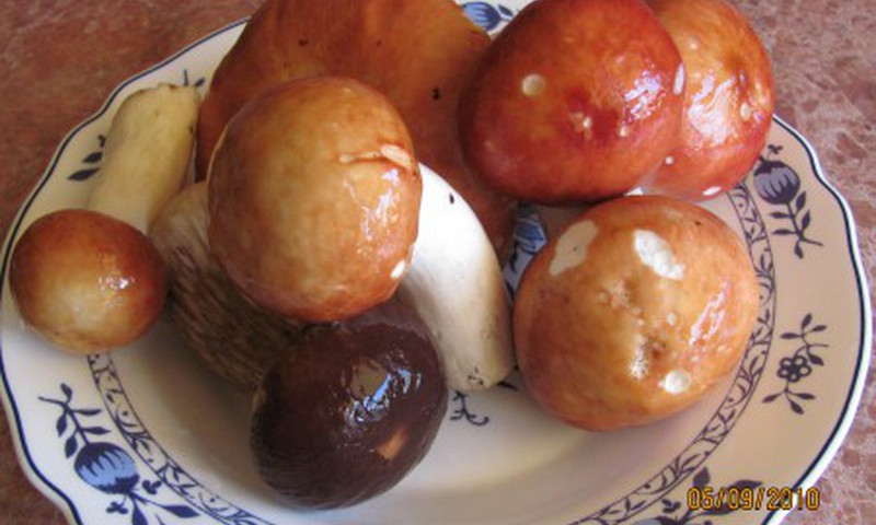 Дары осени