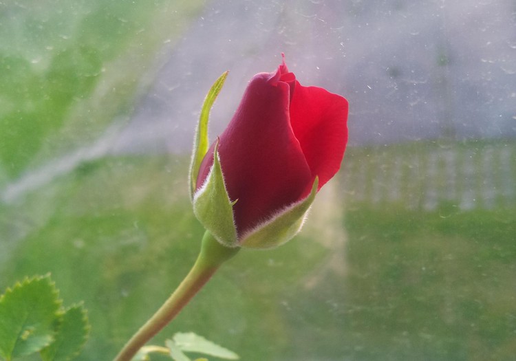 №30 НАДЯ:Любовь морковь и начало нового этапа наших отношений 