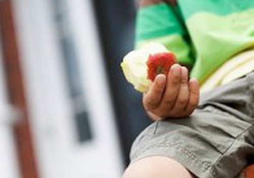 Начинается программа по раздаче свежих фруктов в школах "Augļi skolai"
