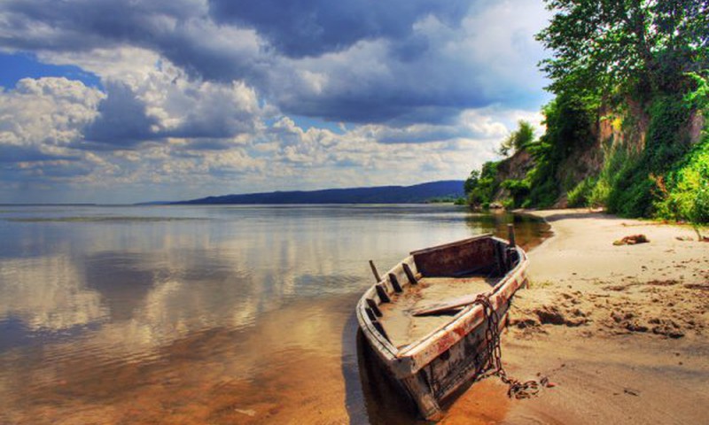 №42 Евгения. All you need is love