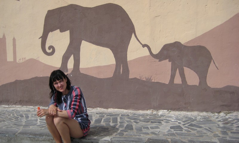 БЛОГ НАСТИ: Ослики, страусы, звёзды