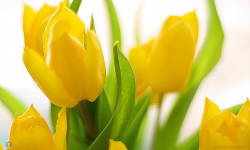 До 17 марта ваши планы под угрозой! 