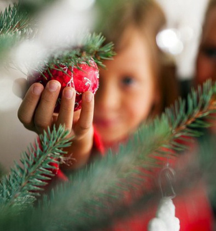 Как защитить елку от  ребенка? Или как познакомить малыша с традициями праздника?