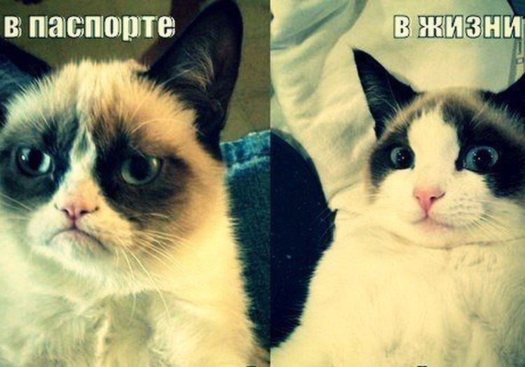 НА ПАМЯТЬ: Документы