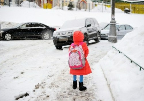Если похолодает до -20, можно будет не идти в школу