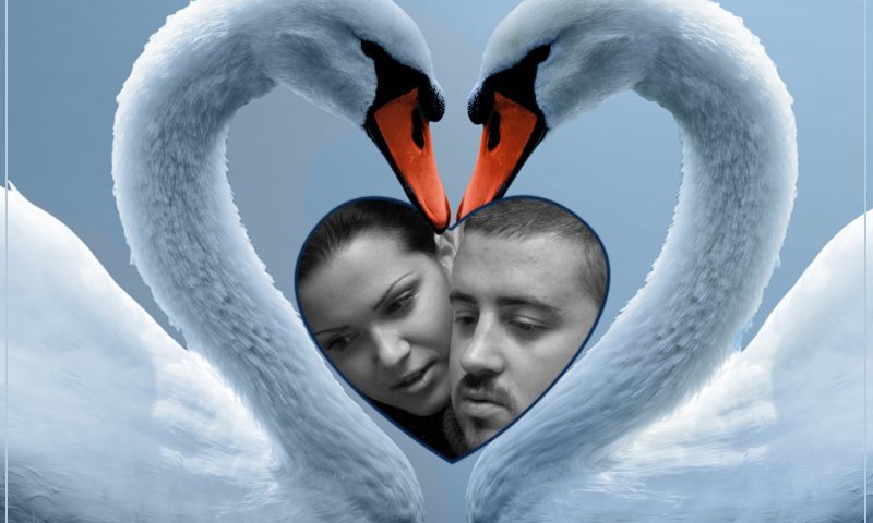 №3 Виктория. Любовь понятная без слов