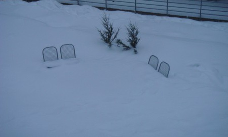 У вас за окном лужи или сугробы?
