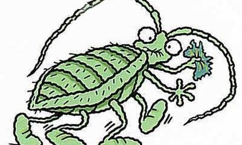 Таракашкам скажем НЕТ и порадуем вас подарками!