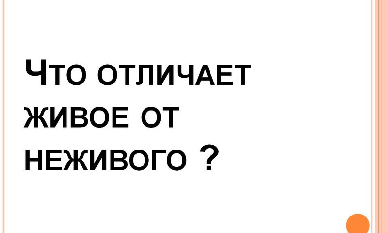 Живое или мертвое ?!