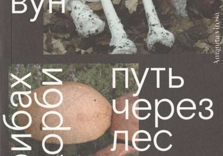 О грибах и скорби