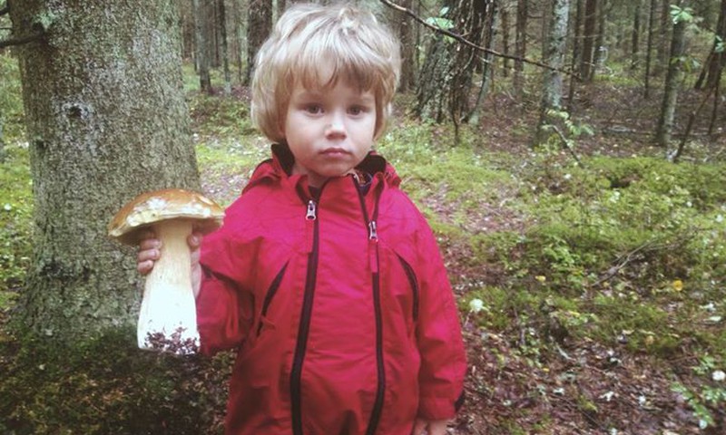 Грибной ФОТОКОНКУРС: участвуйте!