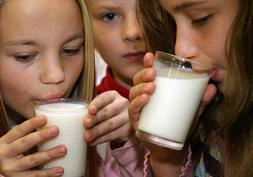 Школьников будут бесплатно поить молоком