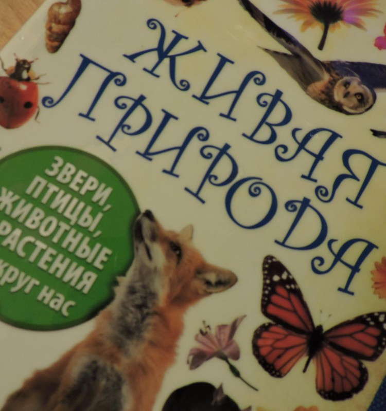 Рубрика «Находка»: Живая природа от Терри Дженнингс