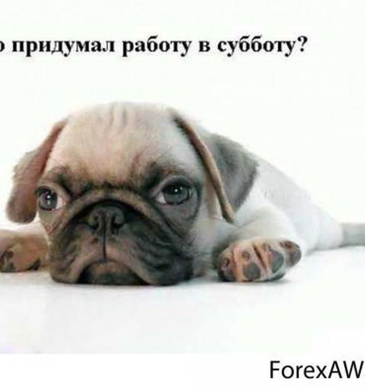 АФИША: Впереди всего один выходной