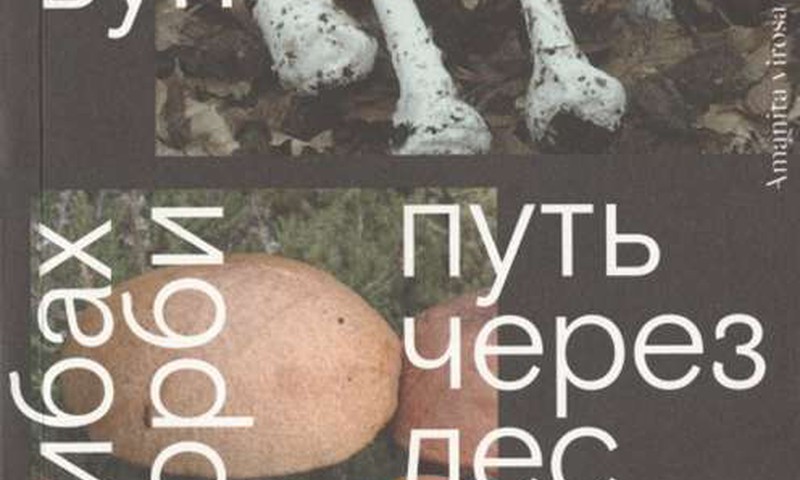 О грибах и скорби