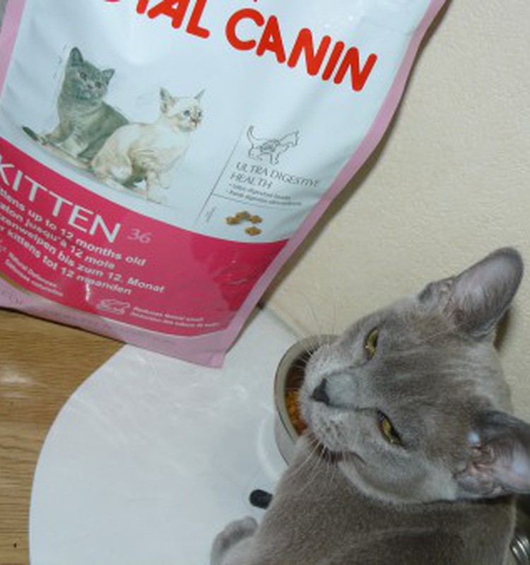 Спасибо Royal Canin!