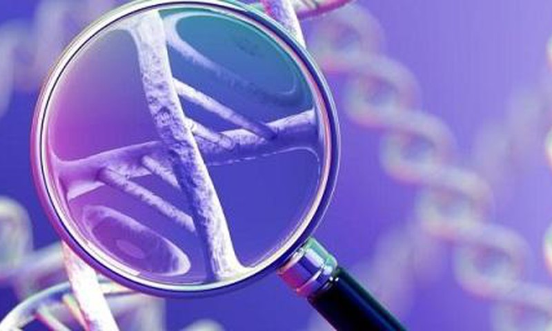 Генетические обследования становятся более доступными
