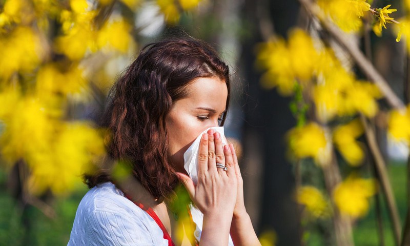 Бедствие весны: что делать, если у вас аллергия на пыльцу растений?