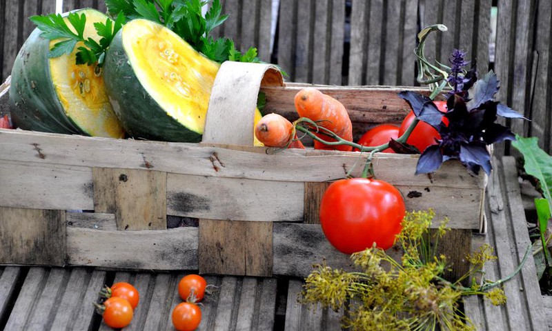 Витаминная бомба взорвалась!