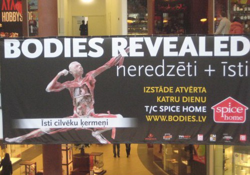 Я ходила на выставку Bodies revealed