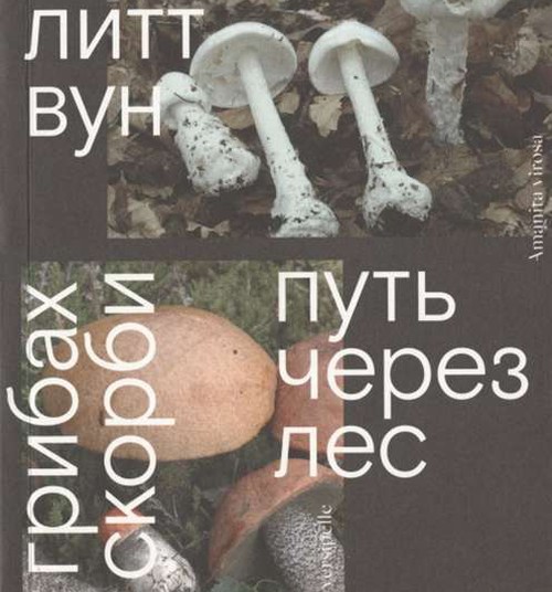 О грибах и скорби
