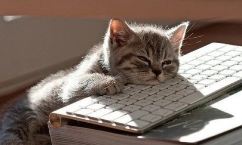 Компьютер и ребёнок