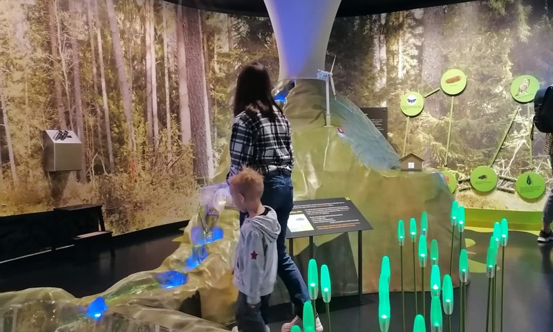 Музей природы в Риге