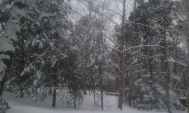 Сегодня начинается астрономическая зима