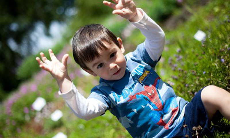 Встреча в Ботаническом саду