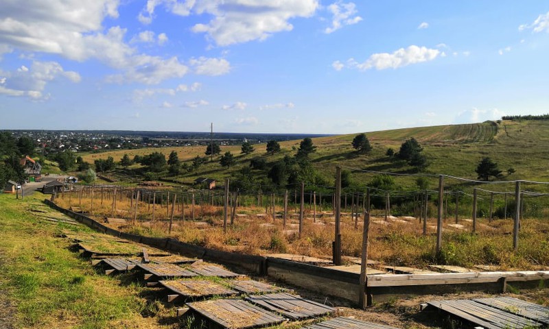 В погоне за летом: украинский Прованс – улиточная ферма «Jiffy»