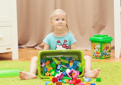 ОПРОС: У вас дома есть развивающий конструктор LEGO?