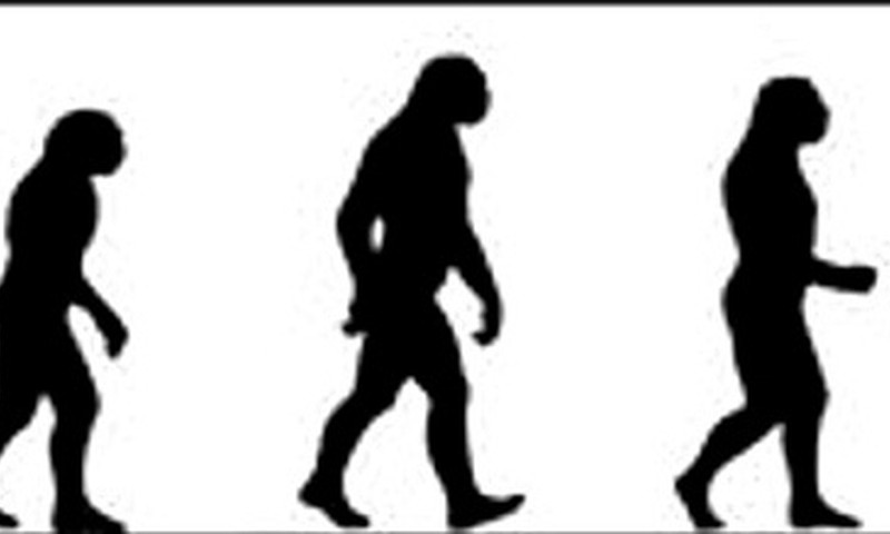 Кто такой человек?