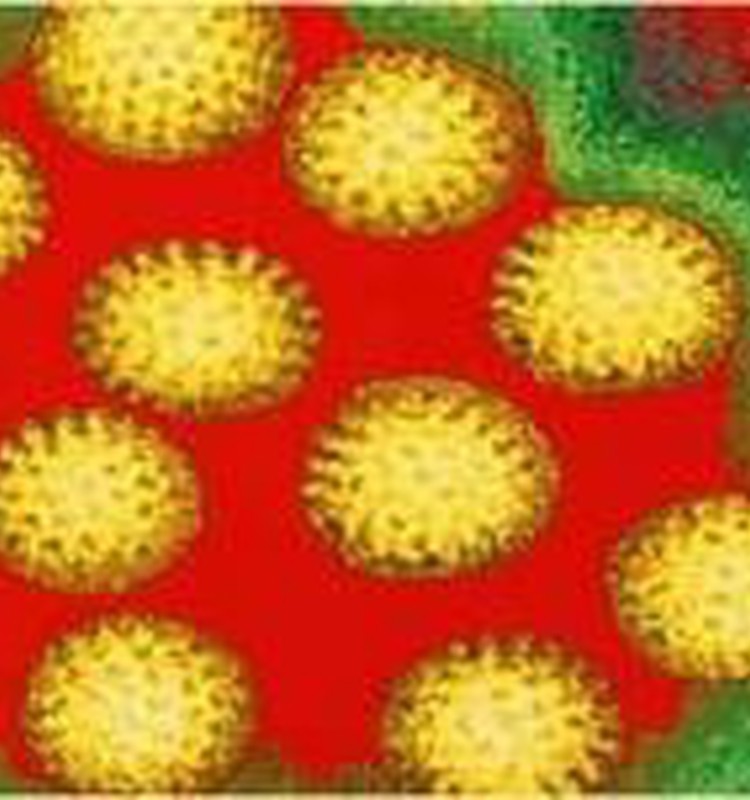 Чем опасен ротавирус и как его избежать