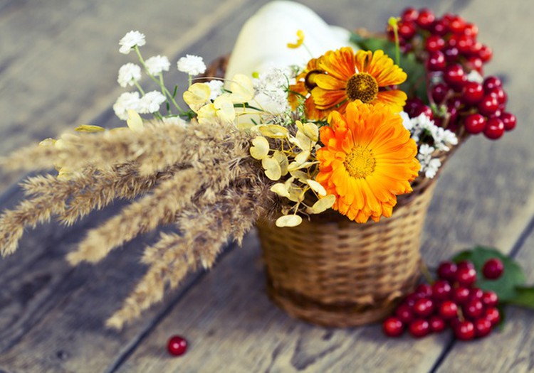 СЕНТЯБРЬ 2016: Разогнались? Побежали!