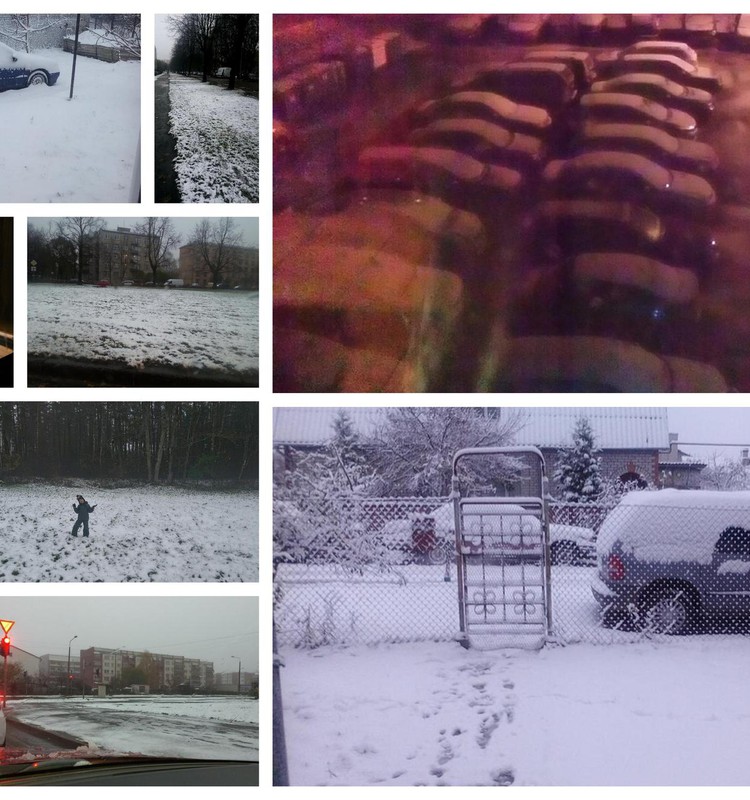 Ноябрь пришёл со снегом. Спасибо за ваши фотографии!