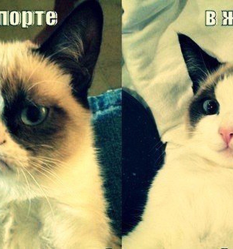 НА ПАМЯТЬ: Документы