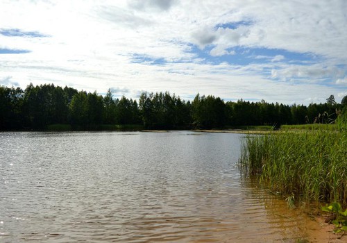 100 дней лета: дни 35-39, отдыхаем на природе