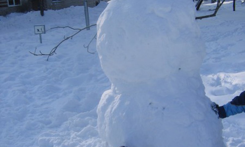Смотрю, а за окном - снежные бабы-великаны! 