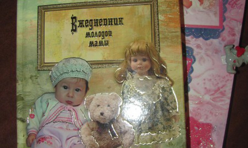 Ведёте ли вы дневник наблюдений?