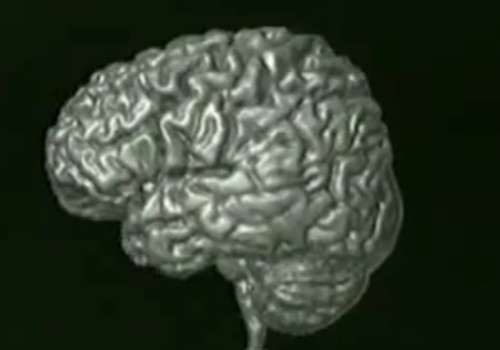 ГВ влияет на рост мозга