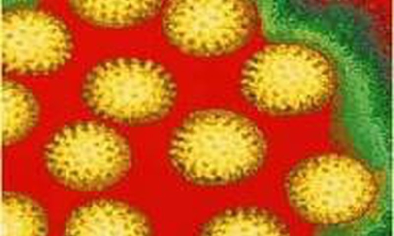 Чем опасен ротавирус и как его избежать