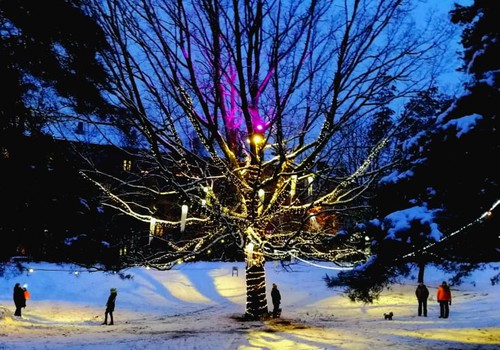 Зимние бродилки: Рижские световые инсталляции – мой рейтинг