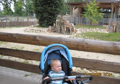 Как с пользой посетить зоопарк