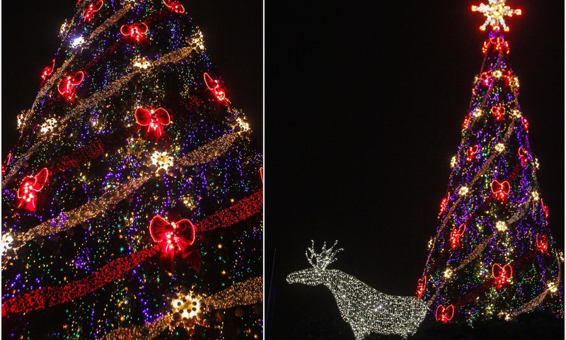 В «Лидо» зажгли Рождественскую елку!