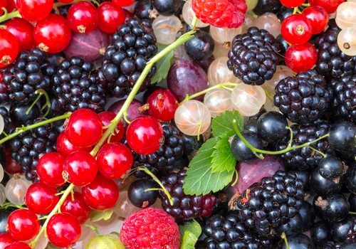 Когда желудок горит от ягод и фруктов: Почему летом повышается уровень кислотности желудка и что можно сделать?