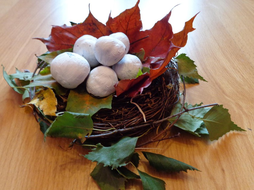 Птичье гнездо своими руками — красивая поделка из подручных материалов