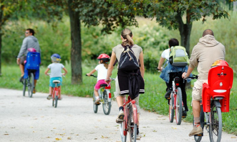 Где ребенку бесплатно обучиться велоезде и получить права